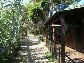 Bungalows Club Aire Libre